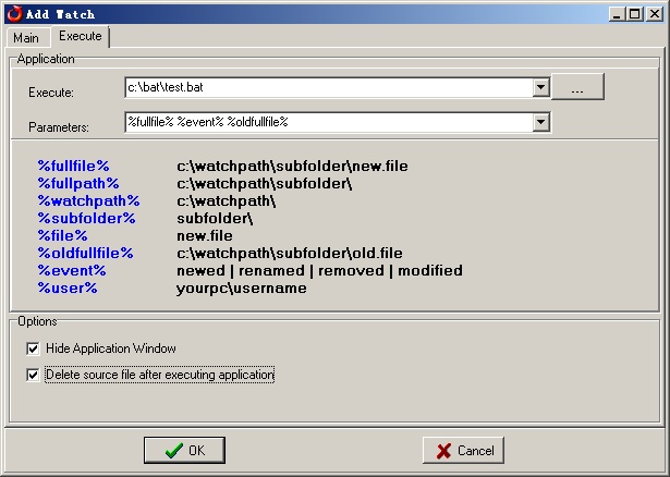 Folder Watcher Windows Service Execute Setting Dialog